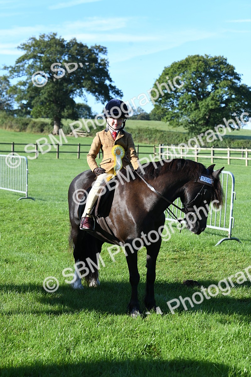 SBM_34130 - S16 - Condition & Turnout - Ridden