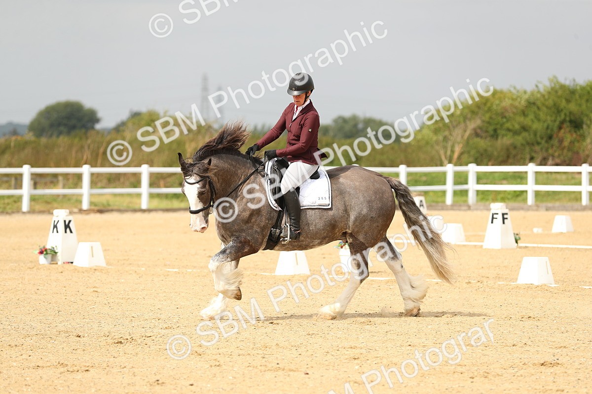 SBM_017313 - Class 13 - Novice 23 - 13.31-14.13