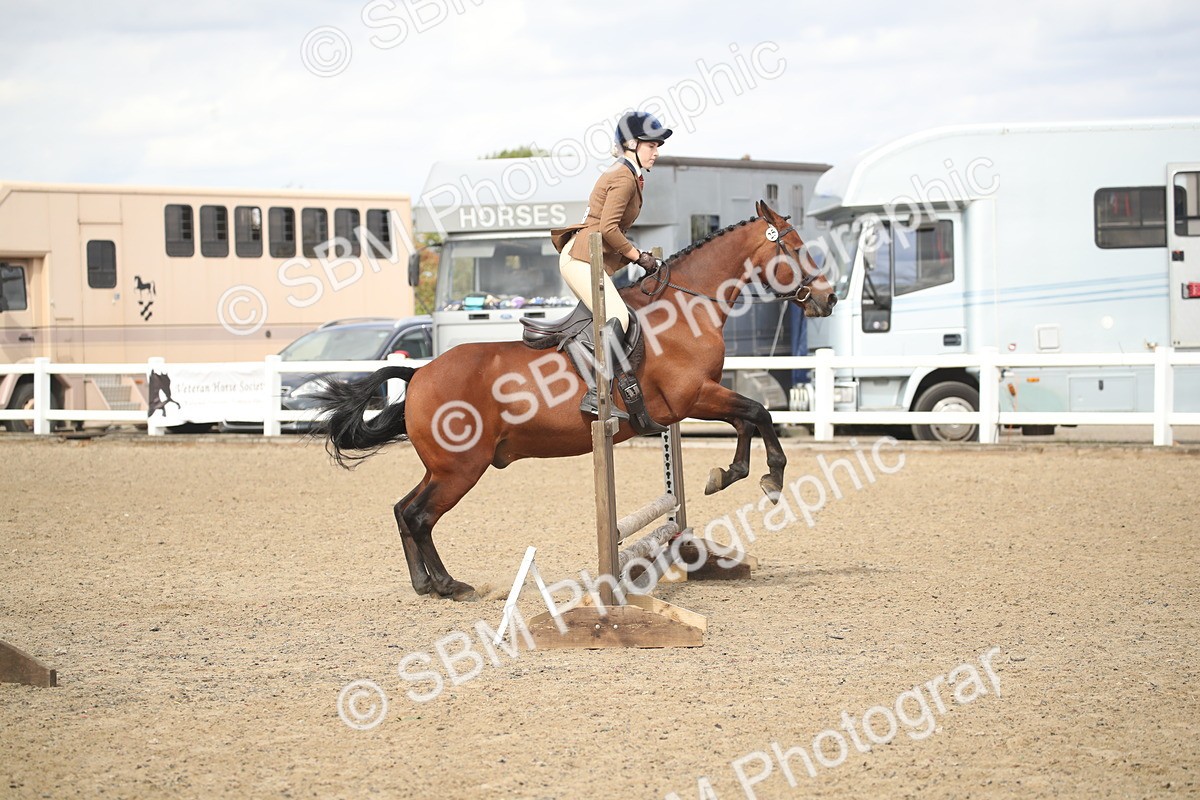 SBM_15295 - Class 506b - Working Veteran - 50cm (20+)