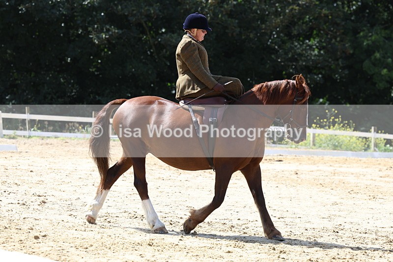 3E7A3563 - Class 7:  Preliminary Music