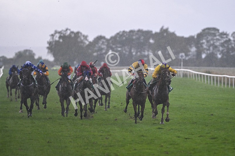 150925-Race 6-Day Of Grace-3116 - Race 6