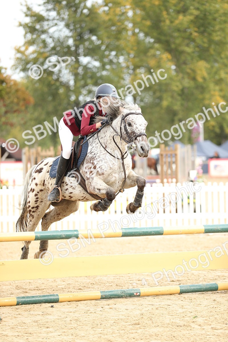 SBM_58565 - J25 - Junior Horse 80cm Championship