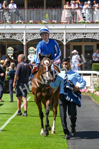 110725-Race 2-Sayidah Dariyan-0245 - Race 2 2.45pm William Hill Summer Stakes