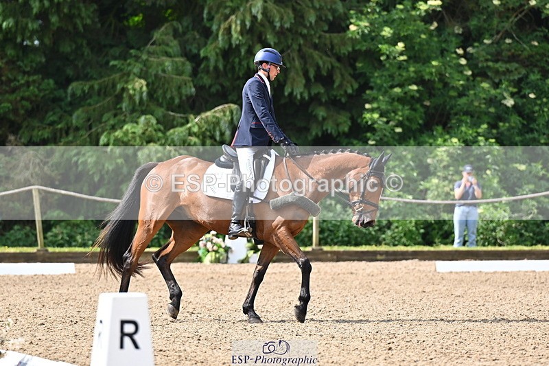 250523A-094242-05324 - C-258-Bill.Levett-ITALIAN.HARLEQUIN.NJ