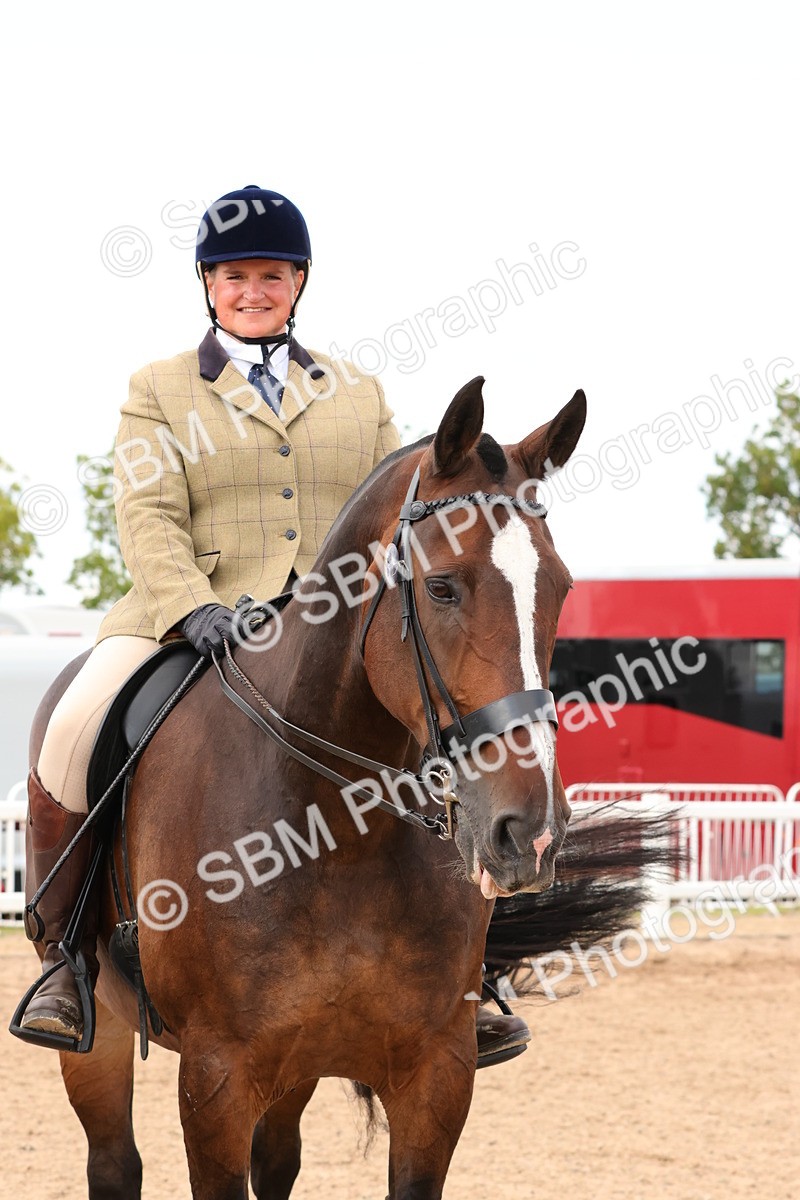 SBM_15510 - Class 214 - Ridden Show Cob