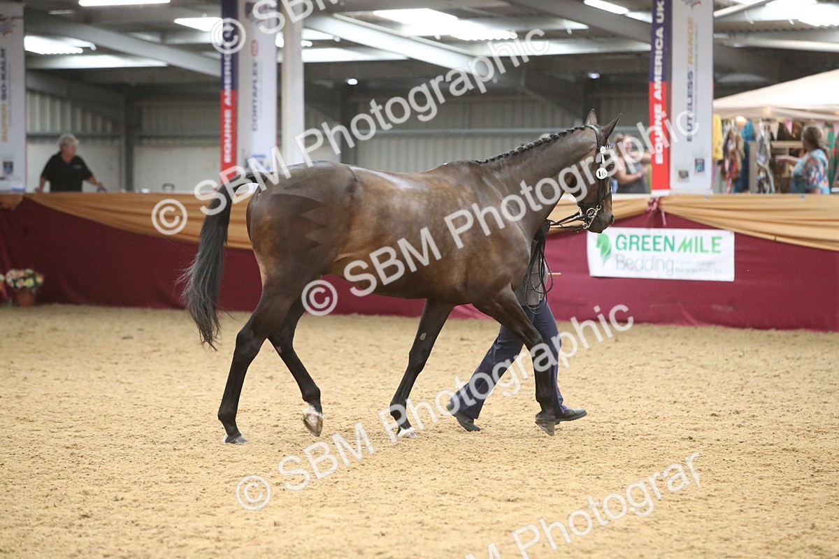 SBM_05700 - Class 9R - Regional IH Pre-Vet