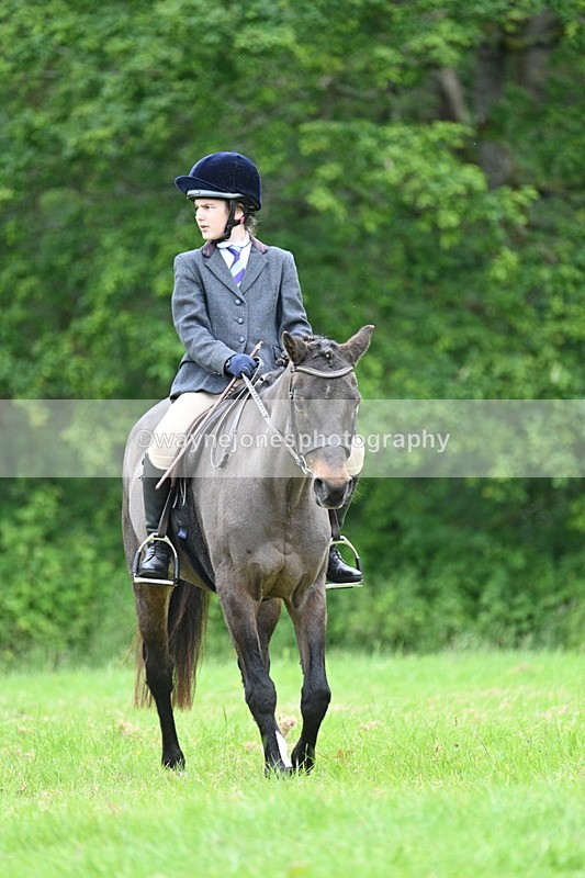 WJ7_4395 - Class 14B Prettiest Mare