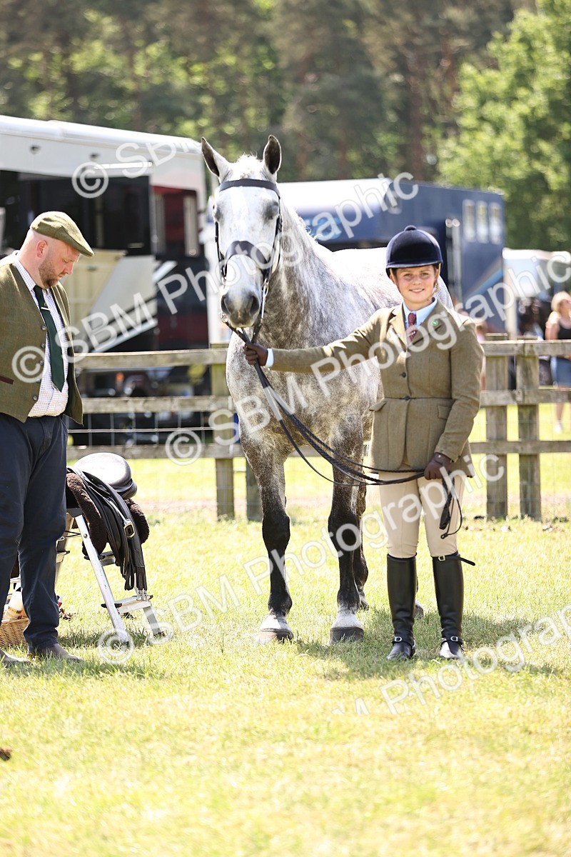 SBM_16157 - Class 79-80 - LIHS BSHA Rising Star Ridden Hunter