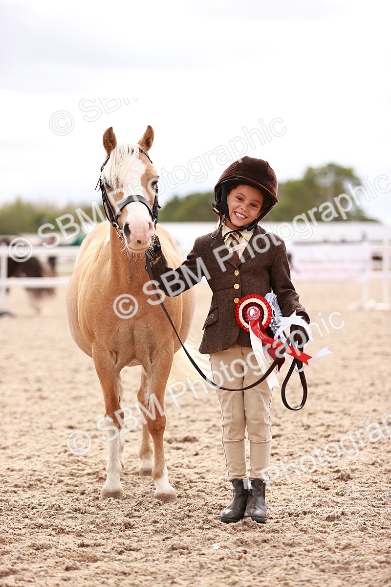 SBM_18262 - Class 416 - Prettiest Mare (IH or Ridden)Jnr