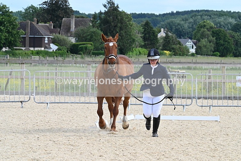 WJ7_8031 - Time 15:39 to 16:08