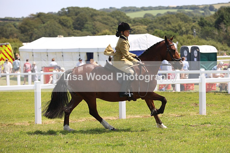 JPP_3366 - Class 22: Working Hunter 70cm
