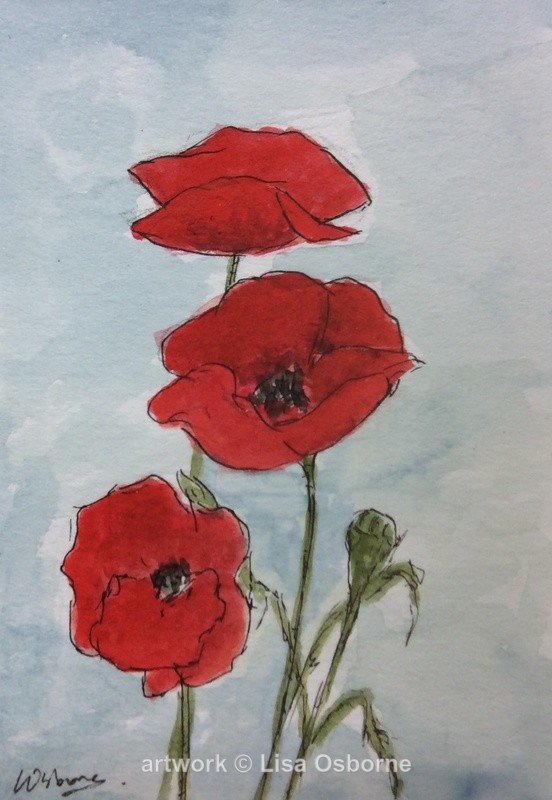 Poppies - Flowers