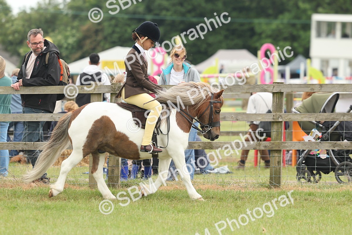 SBM_08891 - Class 78-80 - Ridden M&M Non Welsh Ponies