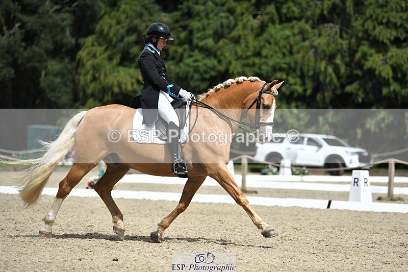 230812-142343-04690 - Cls 7 FEI PSG Bronze