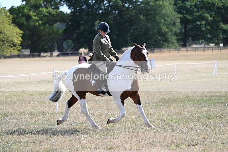 WJ7_2827 - Class 8 Ridden Tack & Turnout
