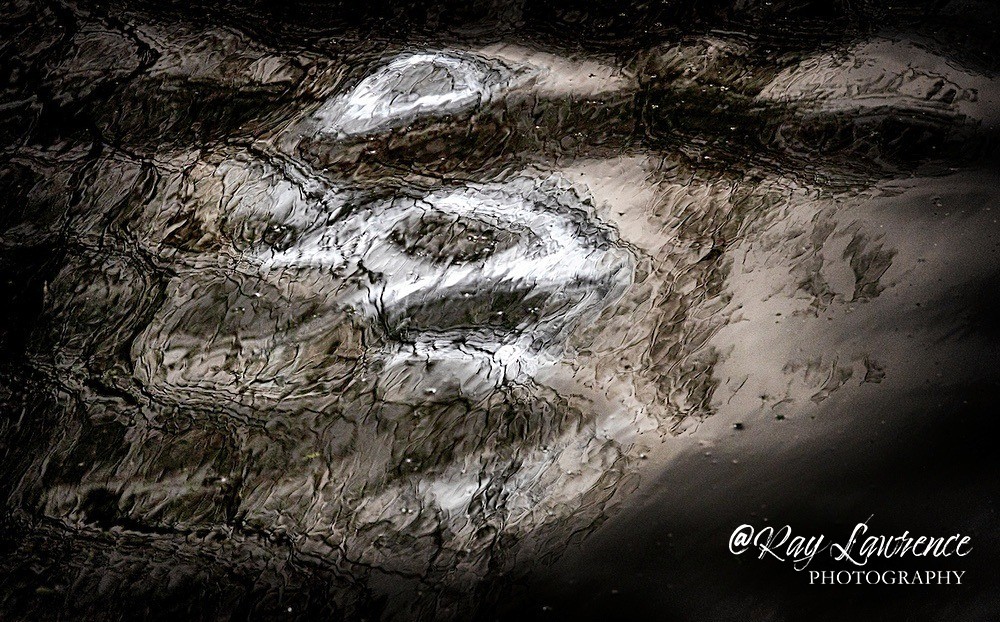 Submerged_RLP0087 - Double Take