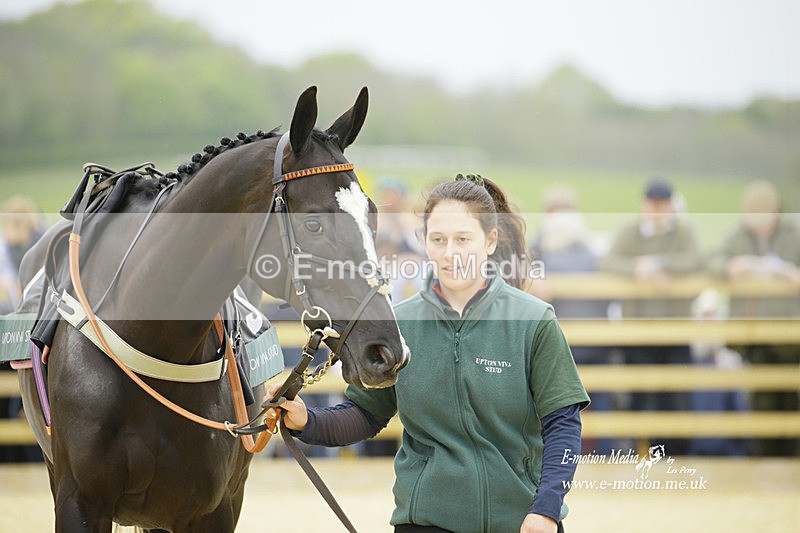 PtP 020522 167 - Mollington Races Point-to-Point 02/05/22