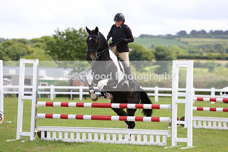 3E7A7321 - Class 13: Senior British Novice/90cm open