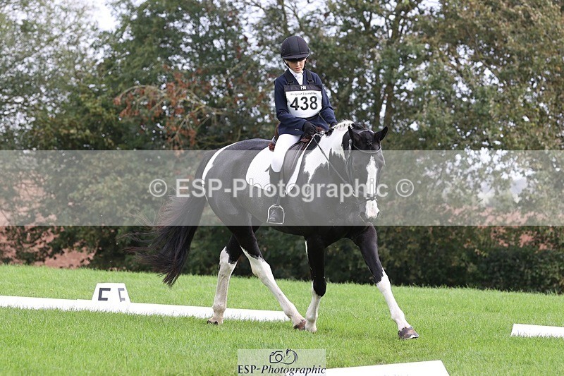 231019-135352-03806 - 438-KILCORBAN.MY.FAIR.LADY-Natasha.Crapper-DR