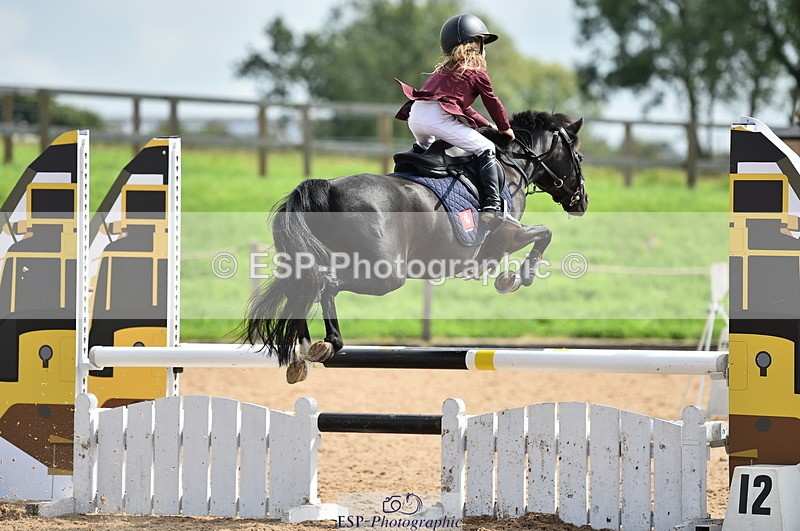 230902A-124306-01185 - Cls 3A Pony Medium 80cm