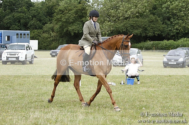 BVR160717-2237 - Ring 3 BVRC Show 16/07/17