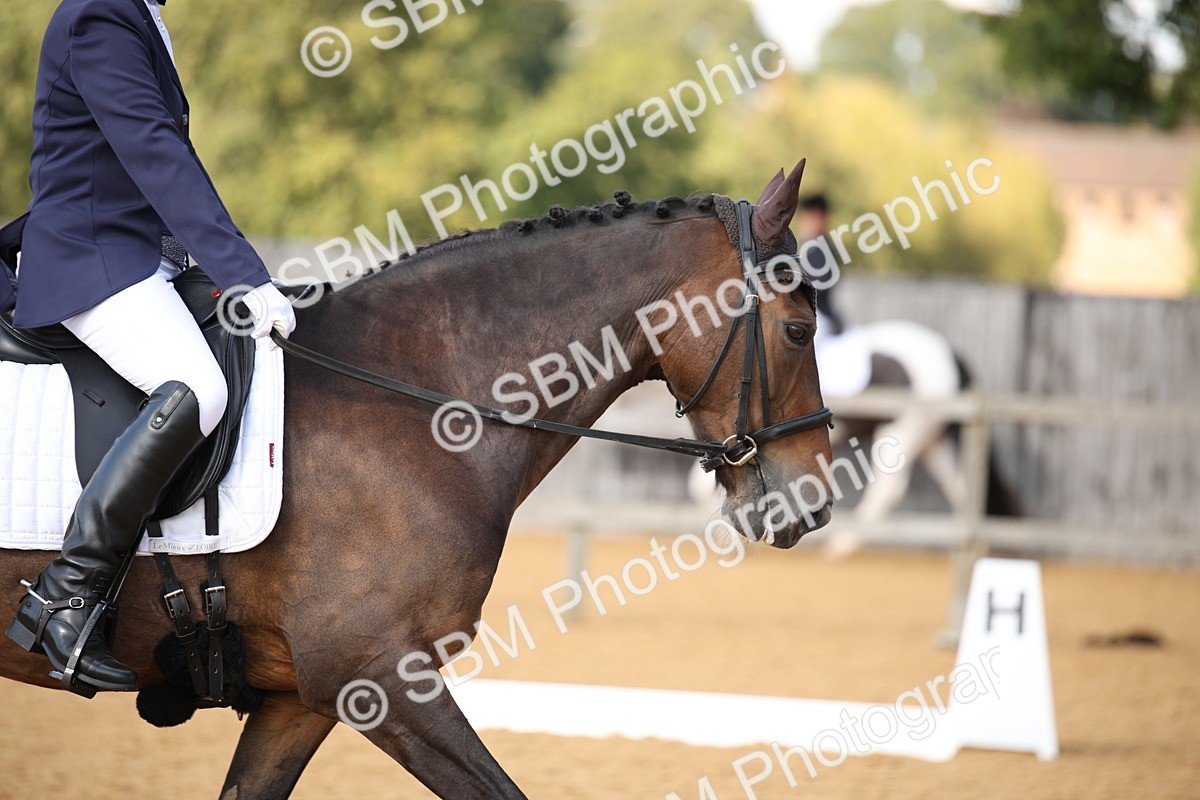 SBM_28144 - D11 - Small Tour Championship - Prelim 13