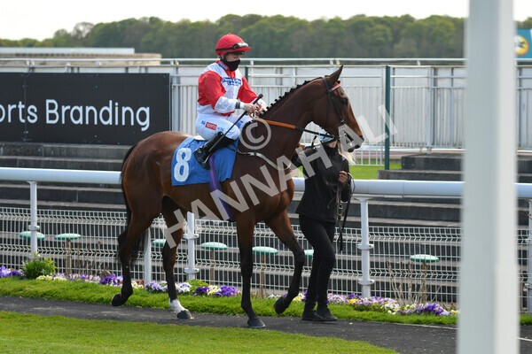 yr13052021r7-3 - Race 7 4.50pm Autohorn Stakes
