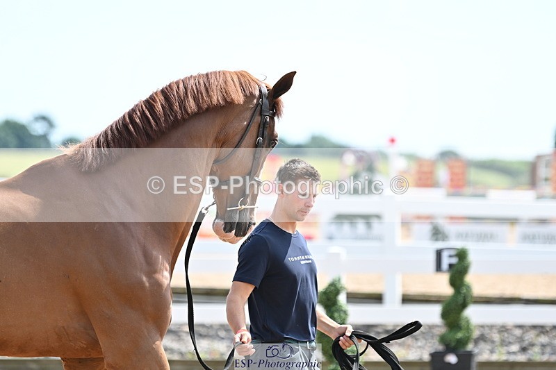 240717A-145853-02393 - Trot Up 2pm to 3pm - This folder is not in time order