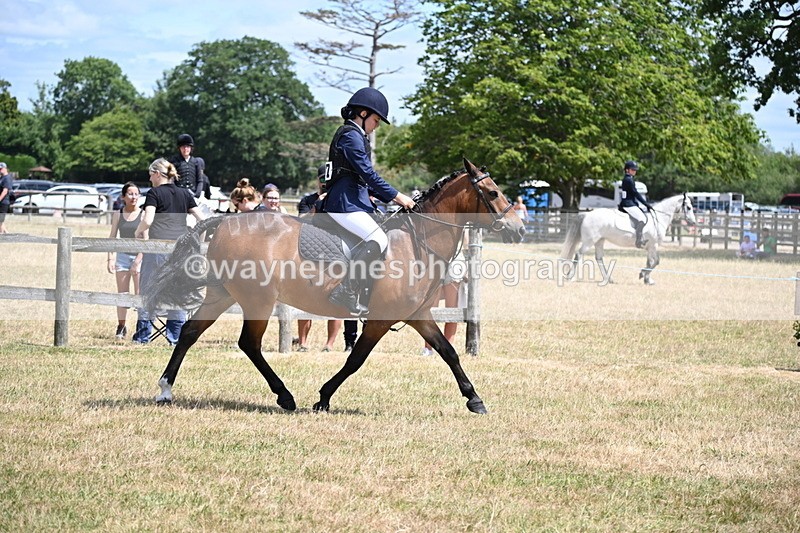 WJ6_5409 - Class 12 Minimus Jumping 45cm
