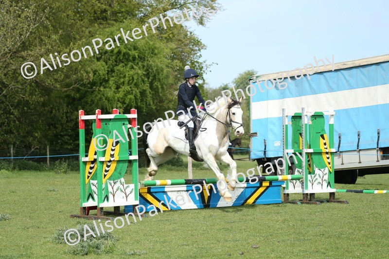 20260426-1650 - Class 14 - Novice 60cm