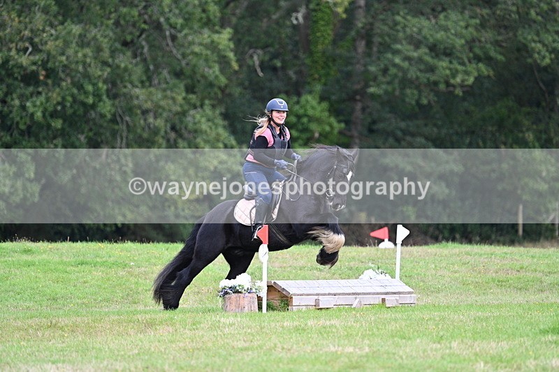 WJ7_7913 - 40cm Time 10:49 to 11:18