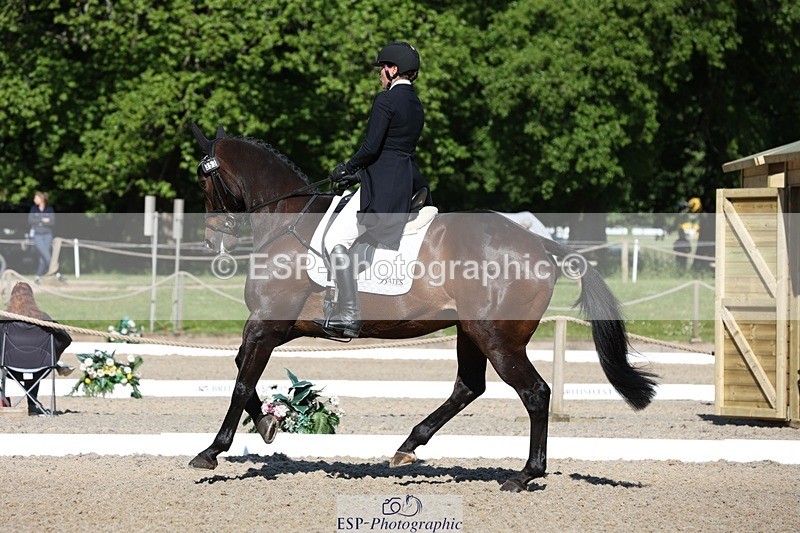 230526-091836-05034 - 353-THE_RIPPER-Bundy_Philpott-WEDTrotUp+DR