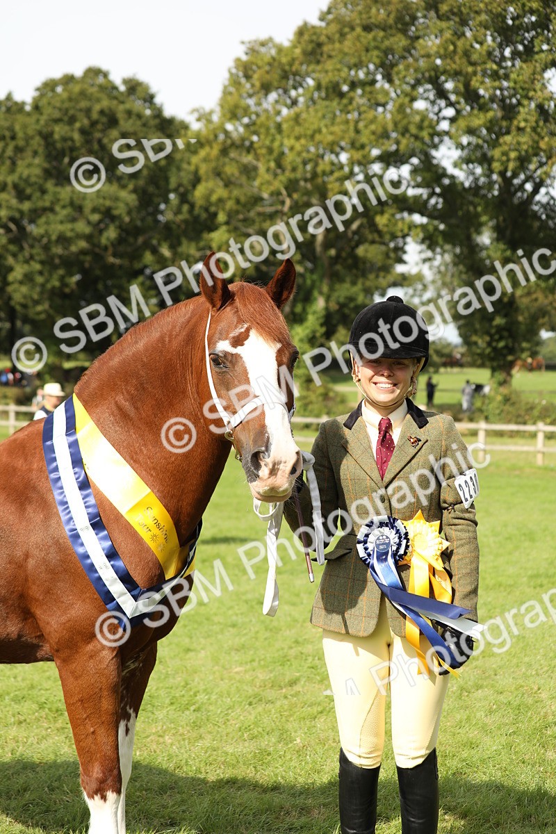 SBM_66375 - In Hand Pony & Youngstock Supreme Championship