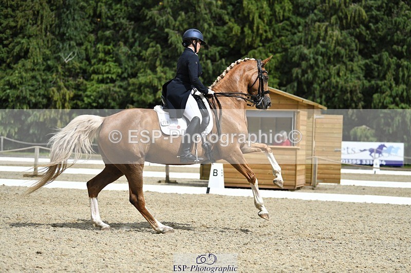 230812-144407-04783 - Cls 7 FEI PSG Bronze