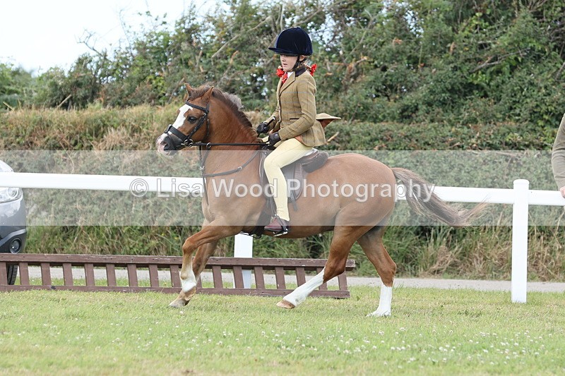 JPP_1921 - Class 18: Tiny Tots Working Hunter Pony