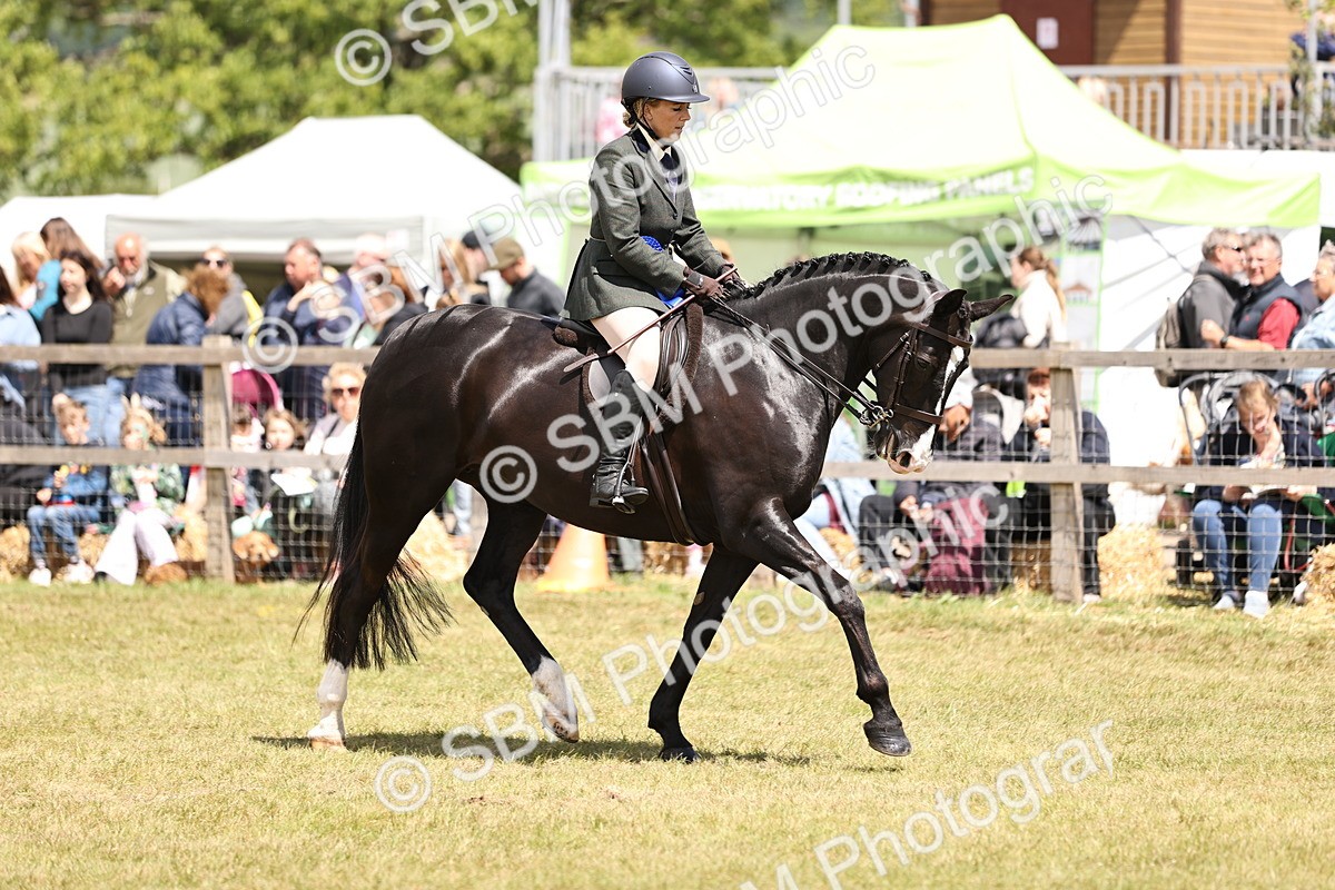 SBM_14775 - Class 88-89 - LIHS BSHA Rising Star of Ridden Hunter Type