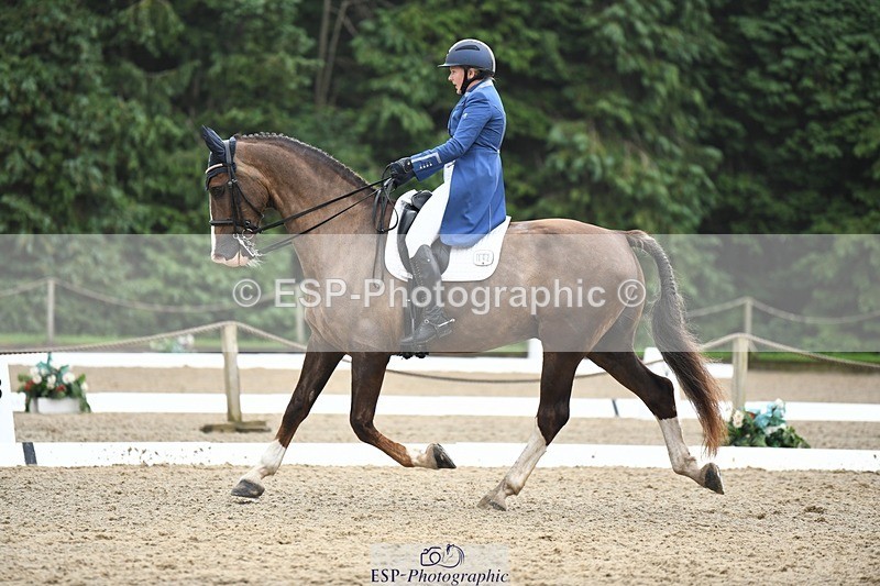 240720-160016-06330 - 142-Amberley_Pugsley-Hero_A