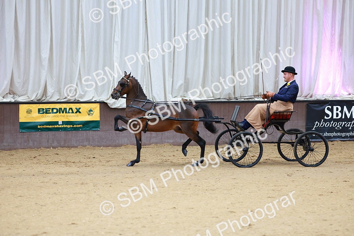 SBM_000636 - Class 9 - HHS Championship Intl Hackney Pony to a Showwagon