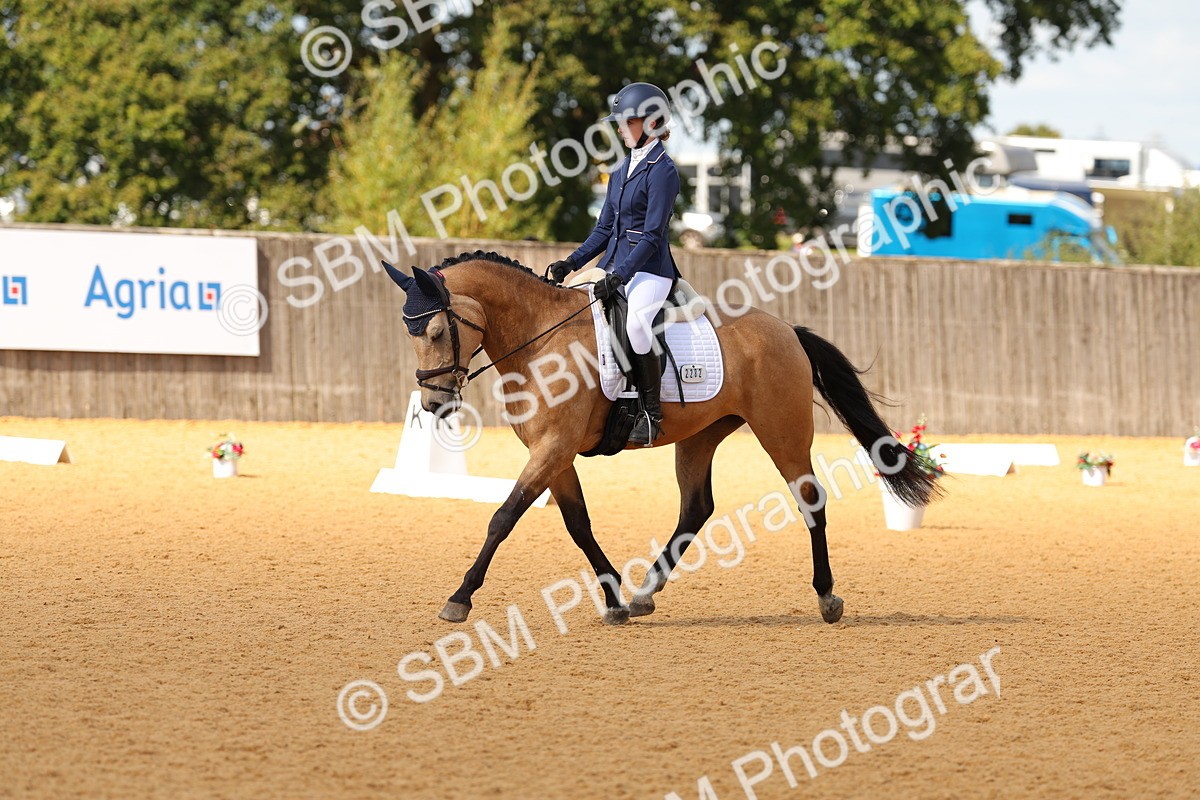 SBM_44133 - D22 - Junior Championship - Intro B