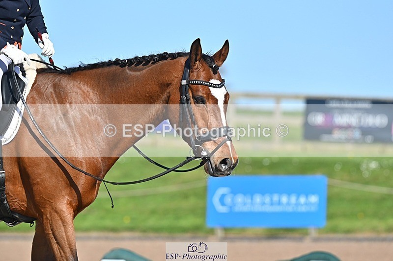 250405-145730-11414 - 139-Tyler.Bradshaw-Igor.VIII