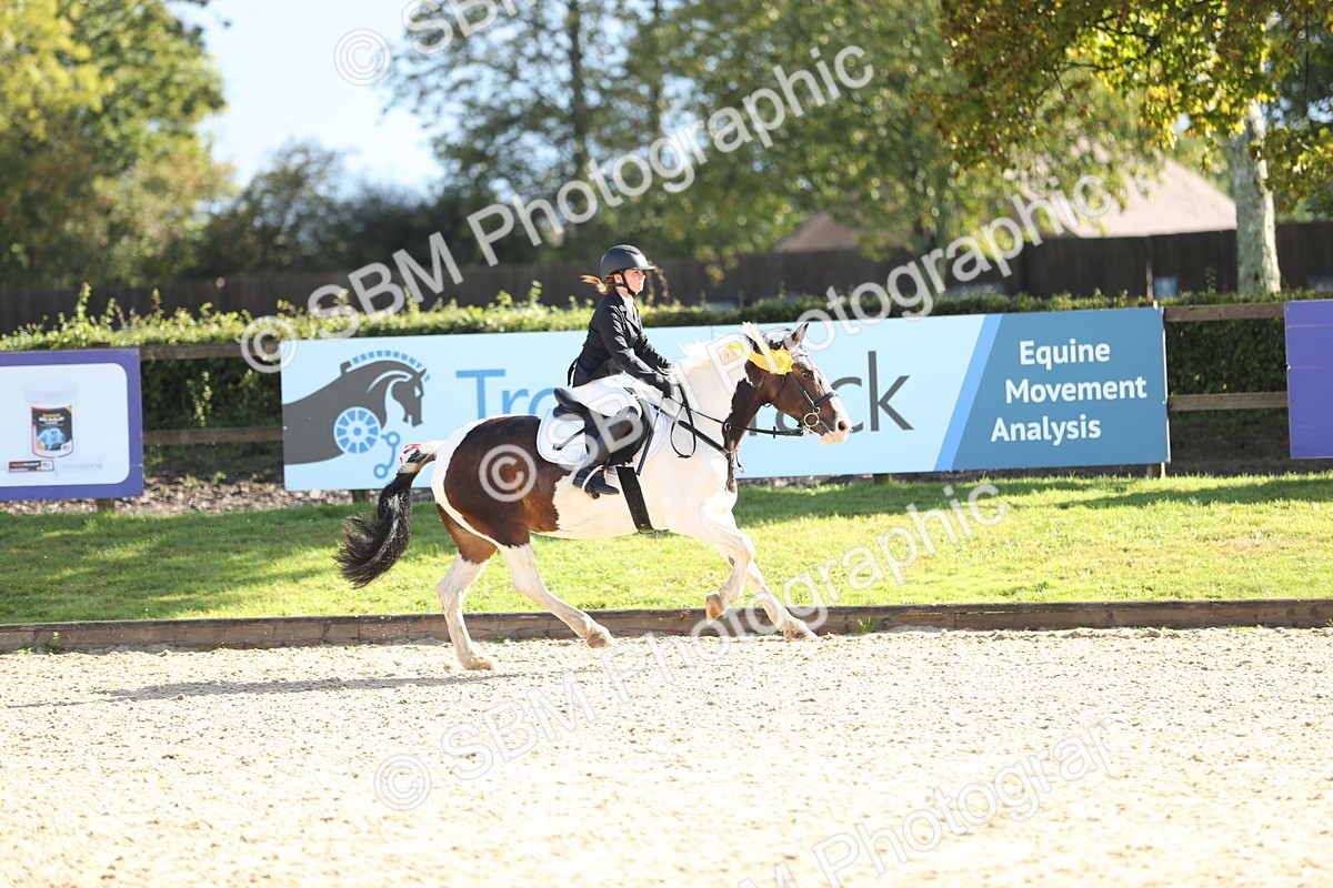 SBM_37394 - J20 - Junior Horse 50cm Championship
