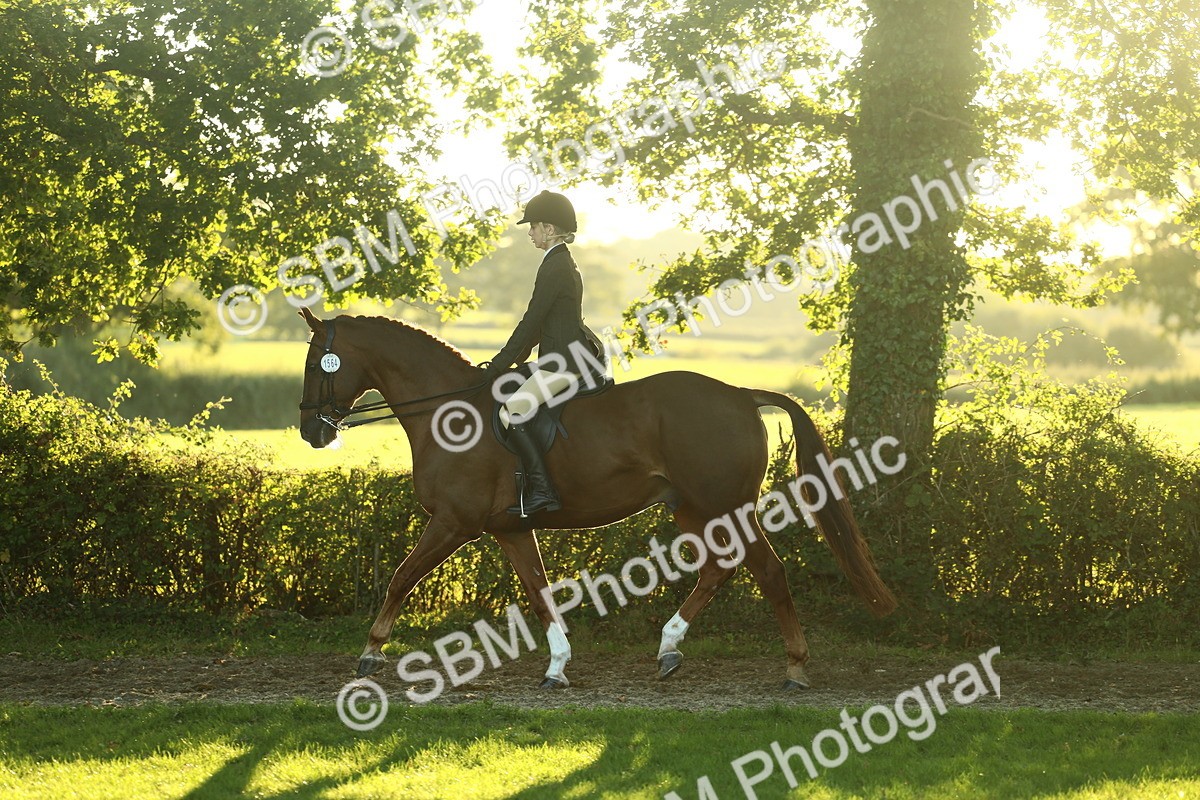 SBM_56444 - S14 - Riding Club Horse