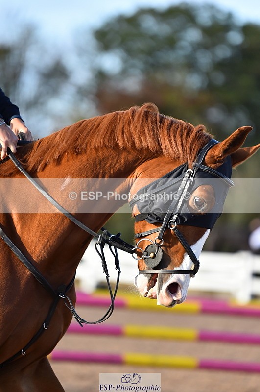 231014A-093506-03731 - Cls 12 British Novice & 90cm Open