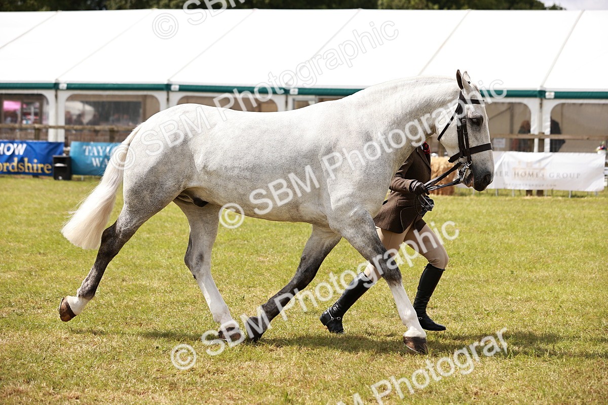 SBM_14063 - Class 85-87 - RIHS Cobs
