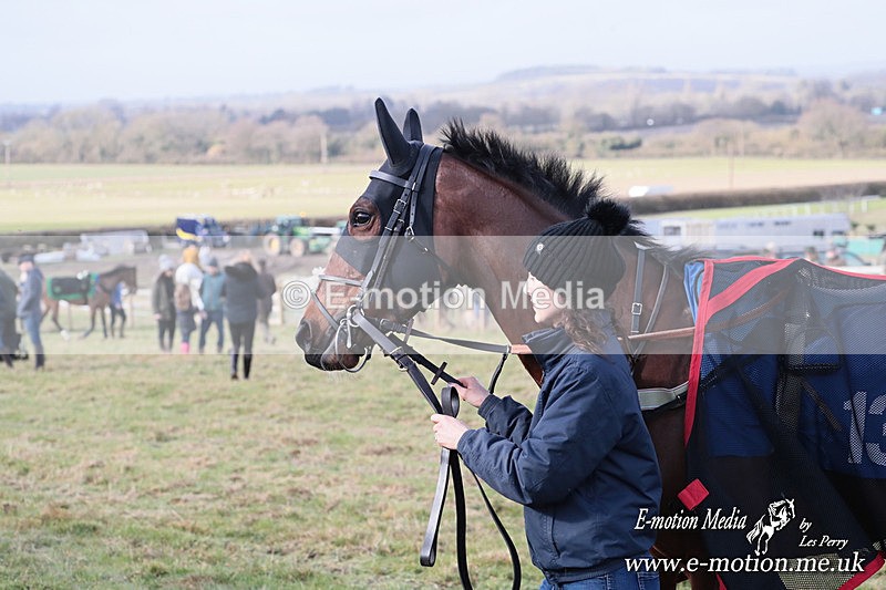 PtP 220225 9 - Kimblewick Point-to-Point  Kingston Blount 22/02/25