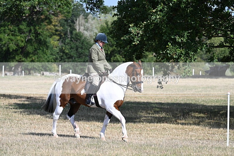 WJ7_2779 - Class 8 Ridden Tack & Turnout