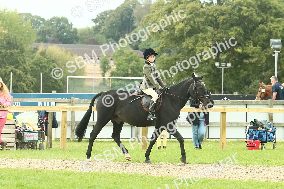 SBM_73981 - S 61 - Show Pony & Show Hunter Pony Ridden