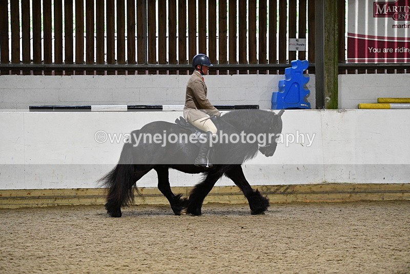 WJ5_8612 - Class 14 Novice Ridden/Rider