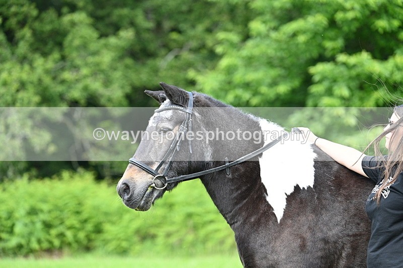 WJ7_1632 - Class 11 Condition & Turnout