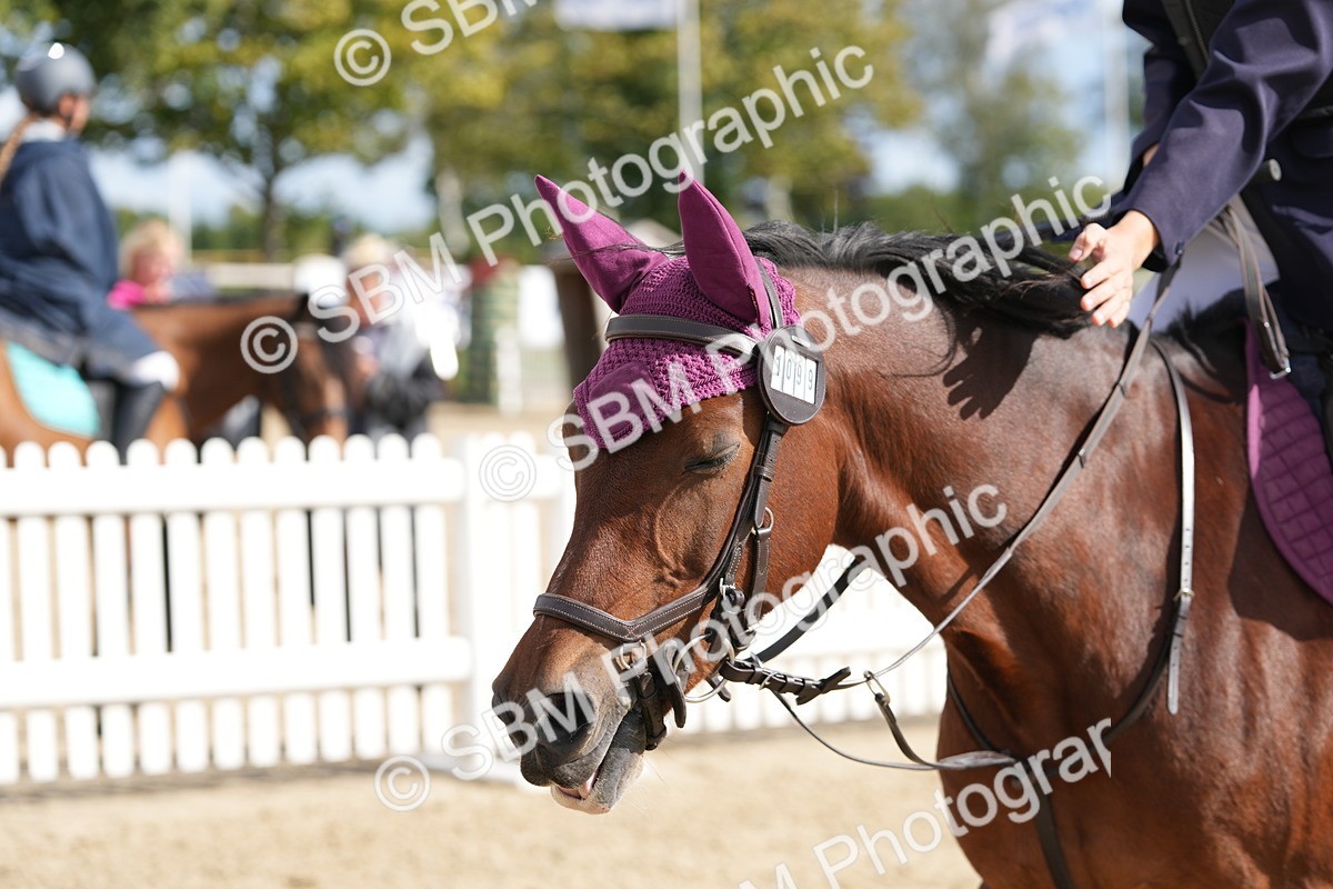 SBM_46993 - J7 - Junior Pony 60cm Championship